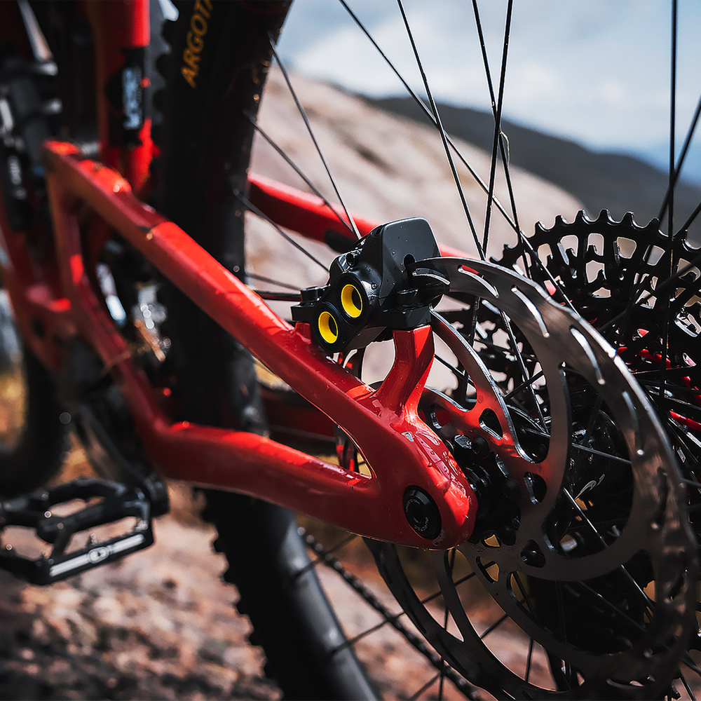 MAGURA GUSTAV PRO FIRST EDITION