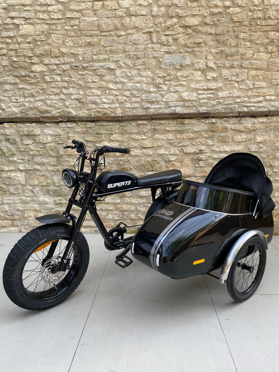 e bike sidecar for sale