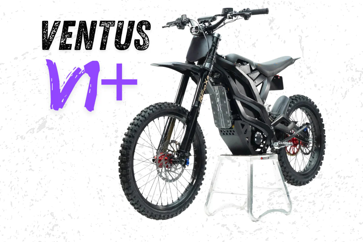 VENTUS 1 V1+ - 2026