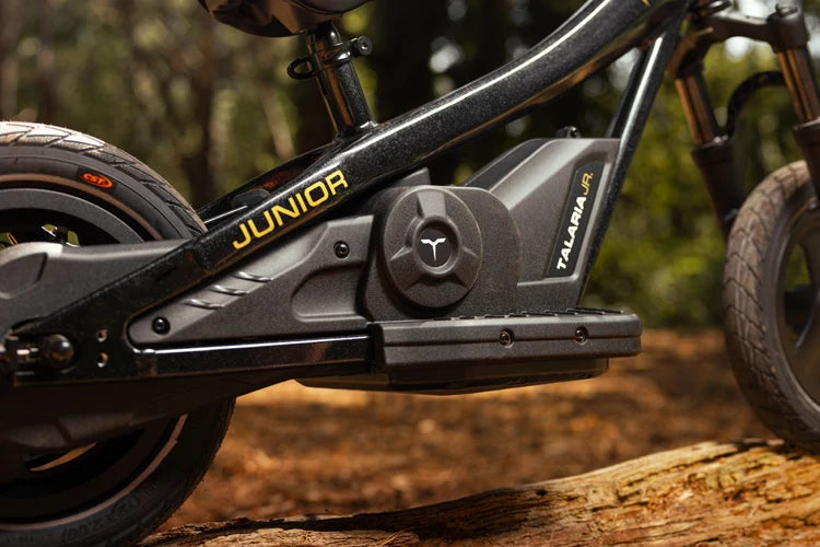 TALARIA JR-16 ET01 - 16 INCH - KIDS ELECTRIC DIRT BIKE