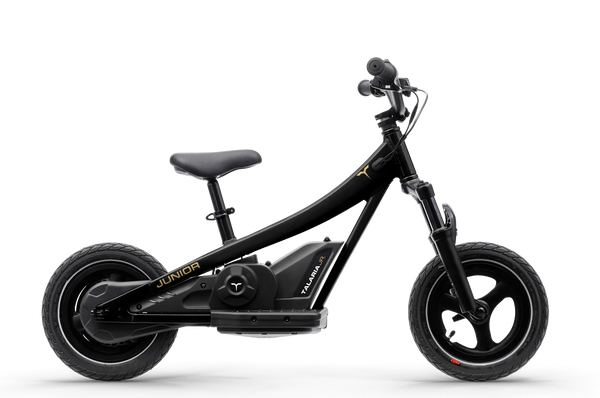 TALARIA JR-12 ET01 - 12 INCH - KIDS ELECTRIC DIRT BIKE