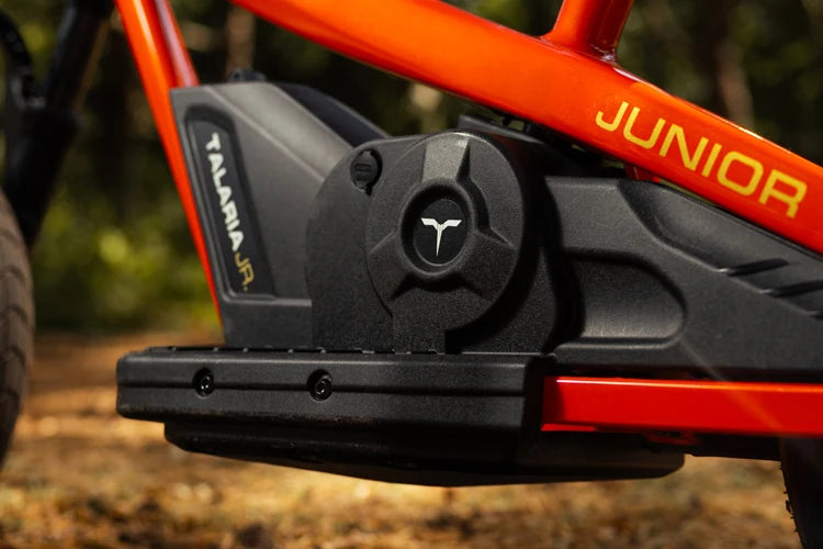 TALARIA JR-16 ET01 - 16 INCH - KIDS ELECTRIC DIRT BIKE