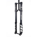 MANITOU DORADO 2024 EXPERT FORKS